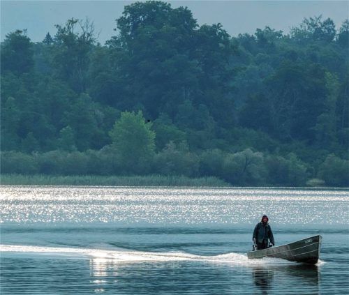 Die Fischer am Chiemsee stehen vor einer ungewöhnlich schweren Saison. Nun sollen am Samstag, 25. Juli, auf der Fraueninsel erste Lösungsansätze diskutiert werden. Foto Peter Kneffel