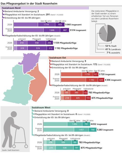 Die Grafik zeigt einen Überblick über das Pflegeangebot in der Stadt Rosenheim. Klinger