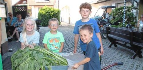 Die Kramer-Kinder bei der Anlieferung ihrer Wettkampf-Rettiche. Sie wurden später mit dem Meistpreis in Form von Eis geehrt. Foto Zandl