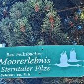 Moor und Moos, Filz und Filzn