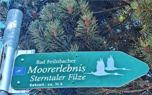 Eine klare Einzelform: die Sterntaler Filze.Foto höfer