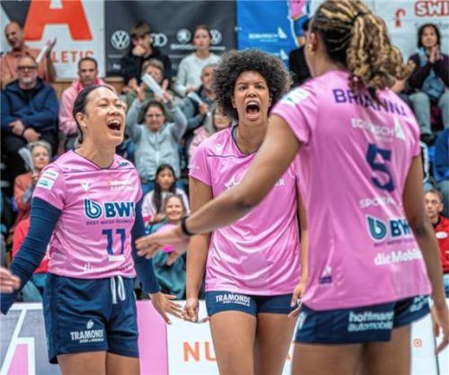 Emma Ellis (Mitte) wird den Bundesliga-Aufsteiger aus Vilsbiburg in der neuen Saison verstärken.Foto privat