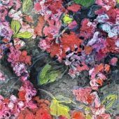 Blumen und Momentaufnahmen