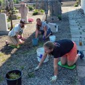 Erfolgreiche Aktion „Friedhof grasen“