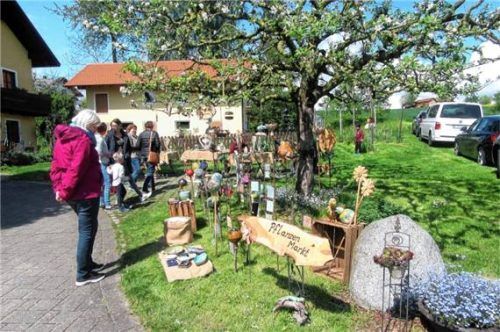 Im Garten von Angela Süss, der Vorsitzenden des Gartenbauvereins, gab es alles, was das Gärtnerherz begehrt. Foto maier