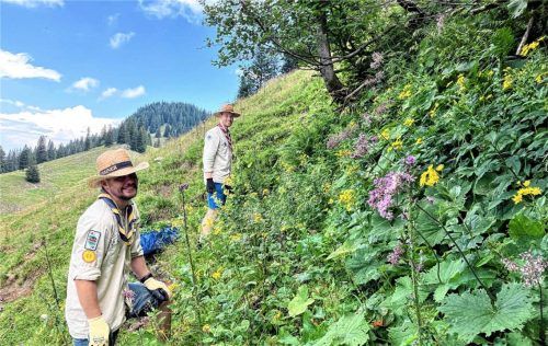 Maxi (links) und Philipp engagieren sich beim Almputzen auf den Oberwiesen. Foto Hötzelsperger