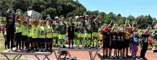 Mehr als 600 junge Fußballerinnen und Fußballer kämpften in Neubeuern um die Pokale. Foto Ruprecht