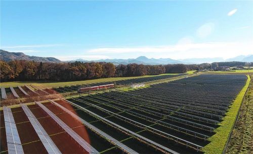 Platz an der Sonne: Dieses Projekt bei Laufen-Aspernfeld ist eine der zahlreichen Photovoltaikanlagen der VR Energie- Genossenschaft Oberbayern Südost. Foto VR EnergieGenossenschaft Oberbayern Südost eG