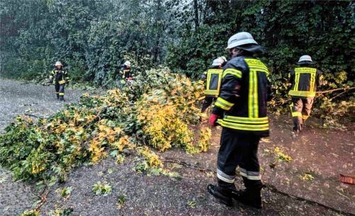 Umgestürzte Bäume und vollgelaufene Keller waren die wesentlichen Ursachen für die Einsätze der Feuerwehren.