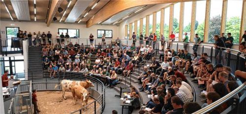 Unter den zahlreichen Besuchern des Juli-Zuchtviehmarktes waren diesmal auch insgesamt 50 Schülerinnen und Schüler aus dem Berufsgrundschuljahr Landwirtschaft und der Landwirtschaftsschule Traunstein.Foto Rinderzuchtverband Traunstein