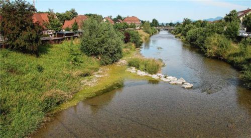 Viele Algen sind in der Mangfall auf Höhe der Fußgängerbrücke am Karl-Daniels-Platz zu sehen. Foto Riediger