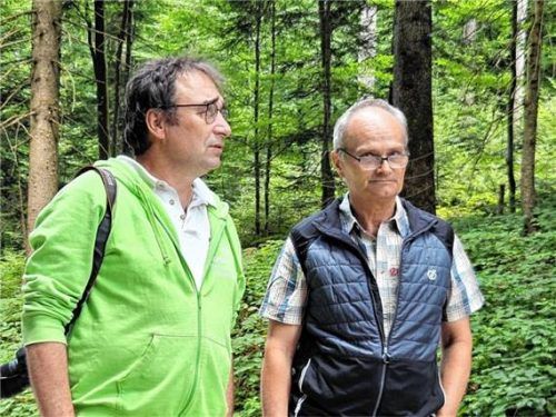 Waldbegehung: Förster Georg Berger (rechts) und Dr. Ralf Straußberger, Wald- und Jagdreferent des Bund Naturschutz, bei der Einführung in die Veranstaltung. Foto M. Konnert