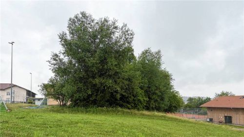 Westlich der Turnhalle soll das neue Kinderhaus in Schnaitsee entstehen. Foto Hinmüller