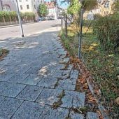 Kurioser Fund an der Musikschule