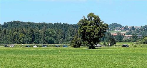 Am nördlichen Ortseingang von Aschau im Chiemgau soll eine Energiezentrale entstehen. Die Bauarbeiten für die Zufahrt von der Staatsstraße beginnen schon im Herbst. Die alte Linde und die Biotopflächen nördlich des Ahgrabens bleiben erhalten. Foto  Gerlach