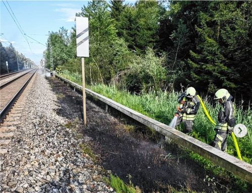 Anfang Juli brannte auf etwa 200 Metern das Gras an der Böschung des Bahndamms zwischen Bernau und Übersee. Fotos Feuerwehr Bernau
