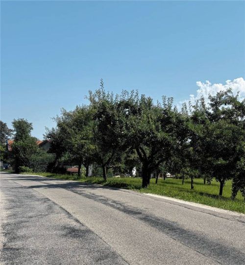 Auf diesem Gebiet an der Trautersdorfer Straße sollen mehrere Wohneinheiten realisiert werden. Foto Patrick Nägele