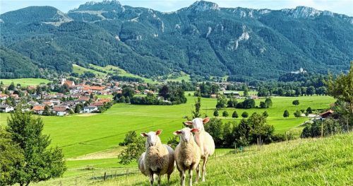 Blick auf Aschau am Fuße der Kampenwand.Fotos H. Reiter