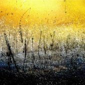 „Wunderwelt – im Dialog“