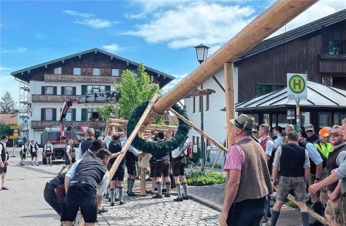 Der aktuelle Eggstätter Maibaum ist 28 Meter hoch und über zwei Tonnen schwer. Künftig soll er am Rathaus seinen Platz finden. Foto  Kirchner