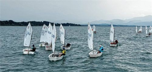 Der gastgebende Seebrucker Regatta-Verein (SRV) zählte 28 Optimisten und elf Ilcas, die von motivierten und mutigen Nachwuchsseglern gesteuert wurden.Foto mmü
