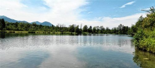 Der Pi-See in der Nußdorfer Au ist aufgrund seiner Abgelegenheit ein beliebter Badesee bei einheimischen Senioren und FKK-Freunden.
