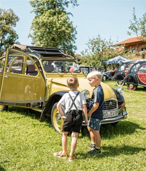 Die Ente hat kleine und große Fans. Foto Simone Liebhardt