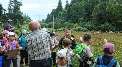 Die Kinder und Betreuer beobachten die Schweine im Hutewald.Fotos  Christine Heinzinger