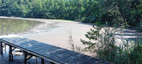 Die Ostseite des Rinssees: Der Steg führt nicht mehr ins Wasser. Meterbreit ist der Wasserpegel zurückgegangen. Foto Privat