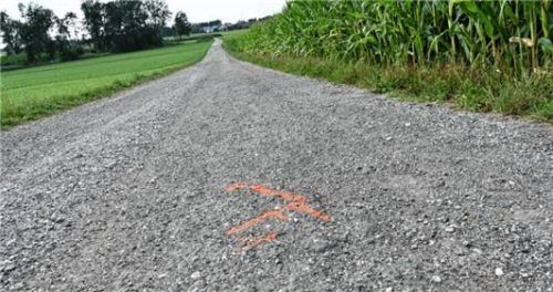 Die Radfahrerin stürzte an dieser Stelle alleinbeteiligt. Foto Schlecker