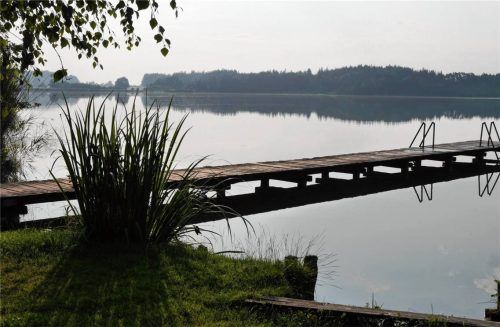 Die Wasserqualität des Pelhamer Sees wird von den Teilnehmern des Projekts „boden:ständig“ gesichert. Foto  Kirchner