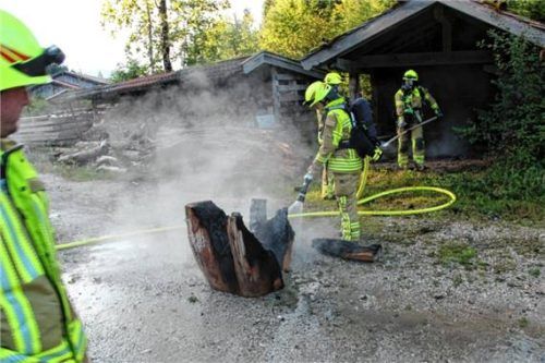 Einsatzkräfte der Feuerwehr löschen den brennenden Baumstumpf ab. Foto Hobmaier