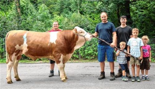 Familie Niederbuchner präsentiert den künftigen Besamungsstier „Suedost“. Foto re