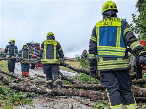 Feuerwehrleute aus Kammer gehen über eine mit Baumstämmen und Ästen übersäte Straße, die von den Einsatzkräften geräumt wird. Foto Hobmaier