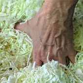 Schlechinger hobeln 240 Kilogramm Kraut