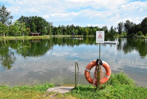 Im Waldsee in Schechen wurde ein Schwimmer von einem Biber gebissen. Jetzt reagiert der Schechener Bürgermeister Stefan Adam. Foto  Schlecker/