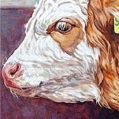 Ausstellung wird verlängert