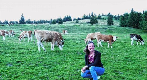 Sennerin Maria Praxenthaler posiert inmitten der weidenden Jungrinder auf der Feichteckalm. Foto Hötzelsperger