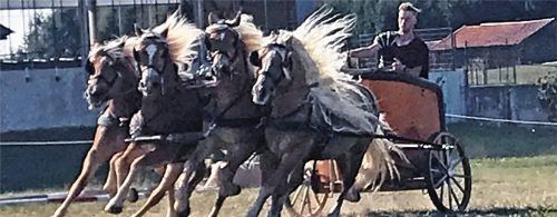 Sepp Lechner rast mit seinem Vierspänner und dem spektakulären Kampfwagen durch den Parcours. Fotos Dachs