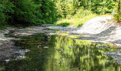 Unscheinbar sieht das Kiesauffangbecken am oberen Maserer Bach aus, und das gegenüberliegende Betonbauwerk, hinter dem sich das Wasser stauen kann, ist kaum zu erkennen. Ein zusätzlicher Wildholzrechen soll in Zukunft den Schutz weiter erhöhen. Foto Ludwig Flug