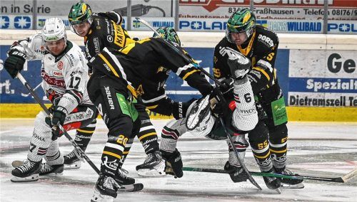 Während Jordy Bellerive (links) um den Puck kämpft, bekommt Keaton Mastrodonato eine kostenlose Flugstunde. Die beiden neuen Starbulls-Kanadier harmonierten im Zusammenspiel phasenweise schon ganz ordentlich.Foto Marko Aleksic