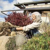 Frostiger Start in den Herbst