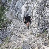 Es rumpelt an der Zugspitze