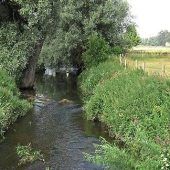 Naturschützer von Glauber enttäuscht