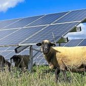Solarparks: Die Kritik wächst