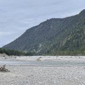 Wo die Isar noch wild ist