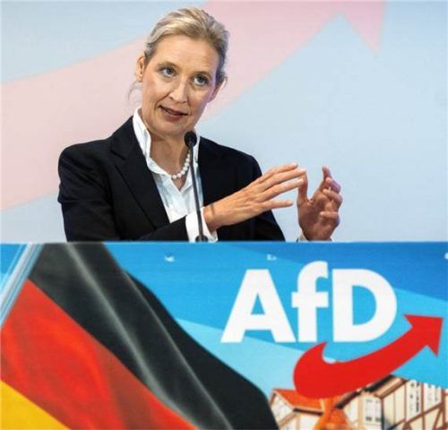 Bundesvorsitzende Alice Weidel (AfD) spricht bei einem Wahlkampftermin in Niedersachsen. dpa