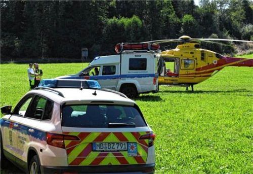 Der Wanderer, der allergisch auf den Hornissenstich reagiert hatte, wurde per Hubschrauber in ein Krankenhaus geflogen. Einsatzreport24/Markus Steinberger