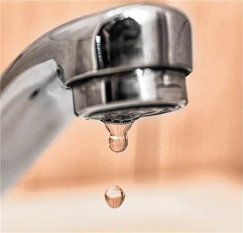 Die Bürger haben freiwillig Wasser gespart, sodass keine Verbote notwendig waren, zeigte sich Bürgermeister Emil Kirchmeier zufrieden. Dpa