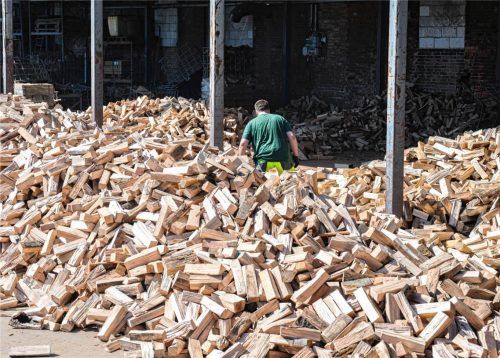 Ein Mitarbeiter steht inmitten von kammergetrocknetem Brennholz auf einem Betriebshof. dpa
